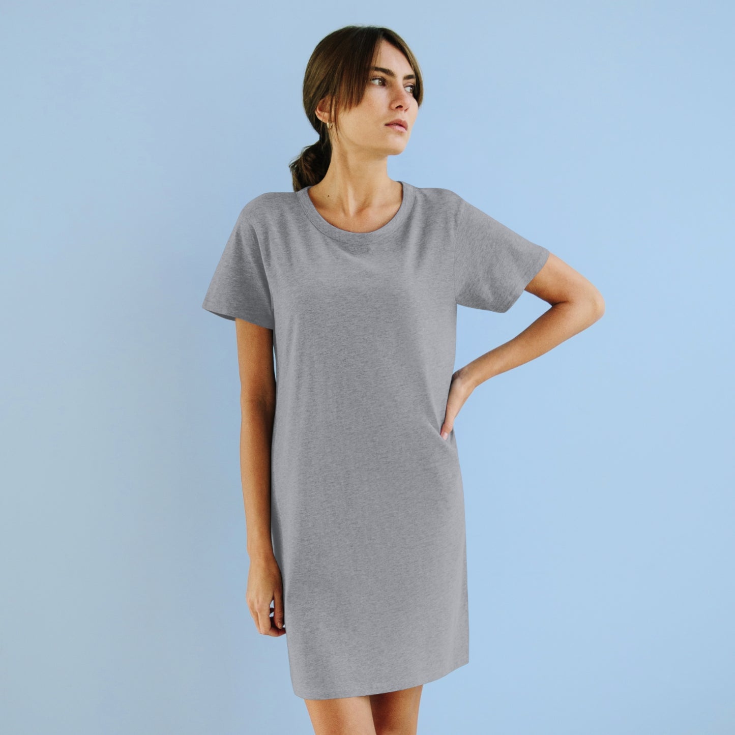 Eat, Sleep, P$rsche, Repeat | Highperformer Organic T-Shirt Dress - BWL.Breitseite