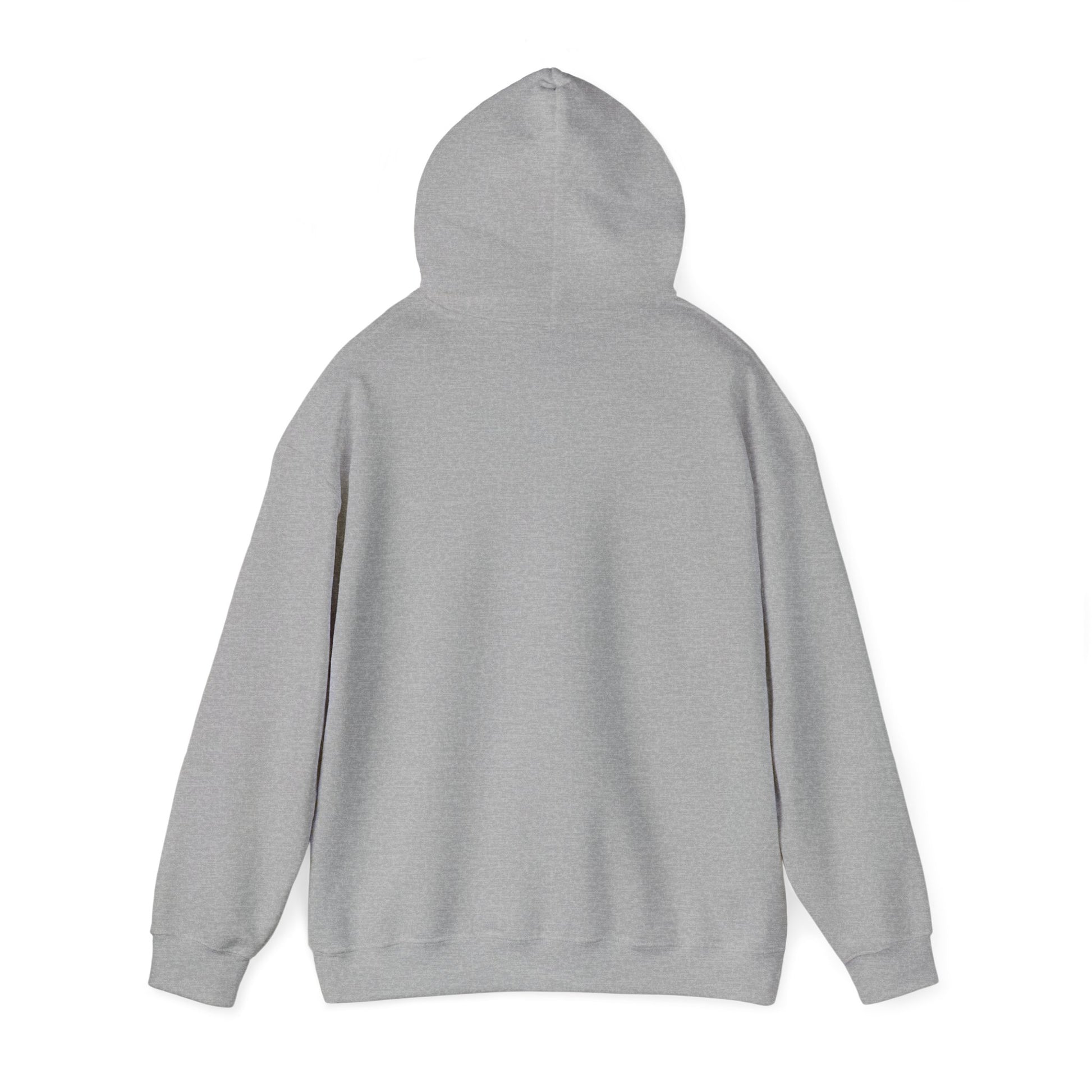 Meine Mini Wishlisht - Christmas Edition | Heavy Blend™ Hooded Sweatshirt - BWL.Breitseite